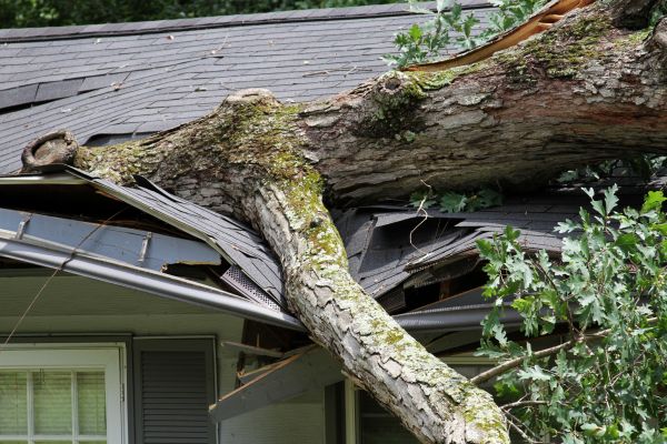 Storm Remediation in Pataskala
