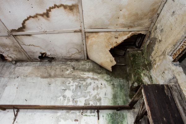 Water Damage Service in Pataskala