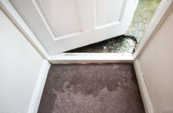 Wet Carpet Restoration in Pataskala