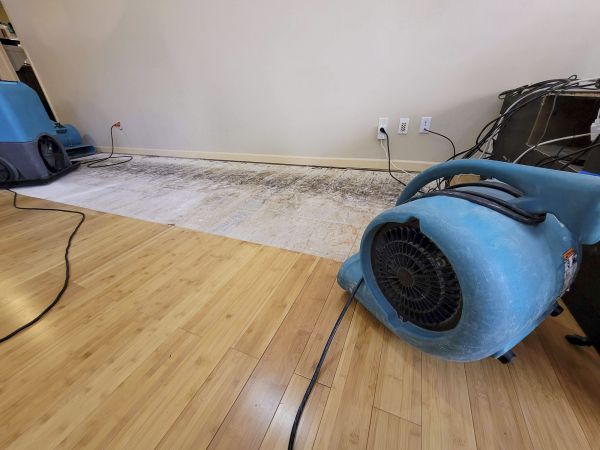 Water Damage Mitigation in Pataskala