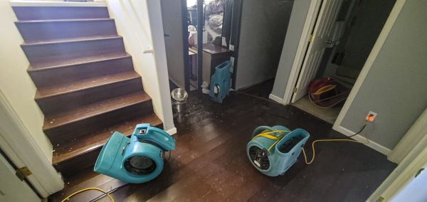 Water Damage Remediation in Pataskala