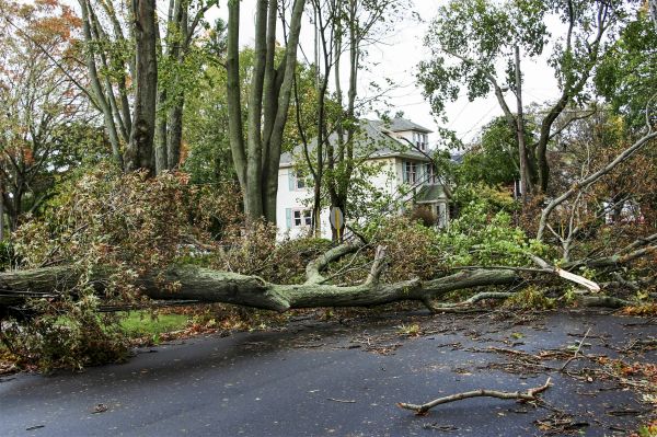 Tornado Damage Repair in Pataskala
