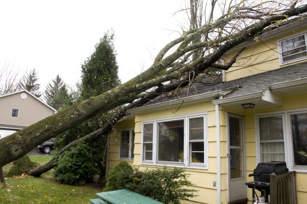 Storm Damage Mitigation in Pataskala